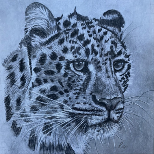 Amur Leopard