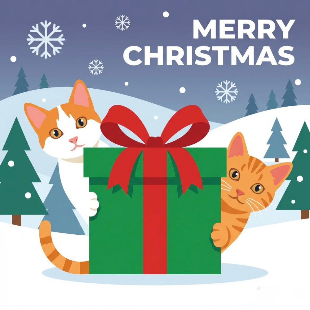 Biscuit's & Stuart's 1st Christmas