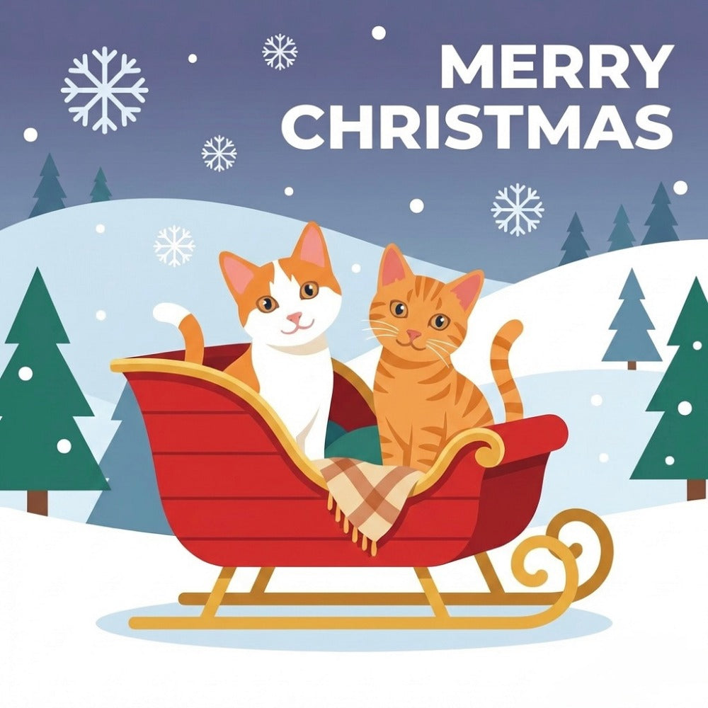 Biscuit's & Stuart's 1st Christmas