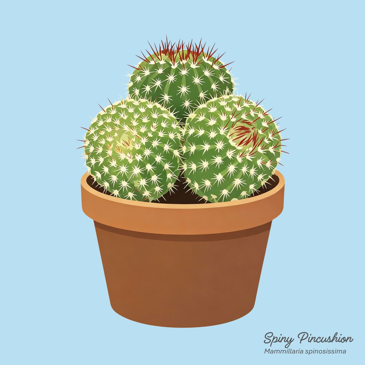 Spiny Friends