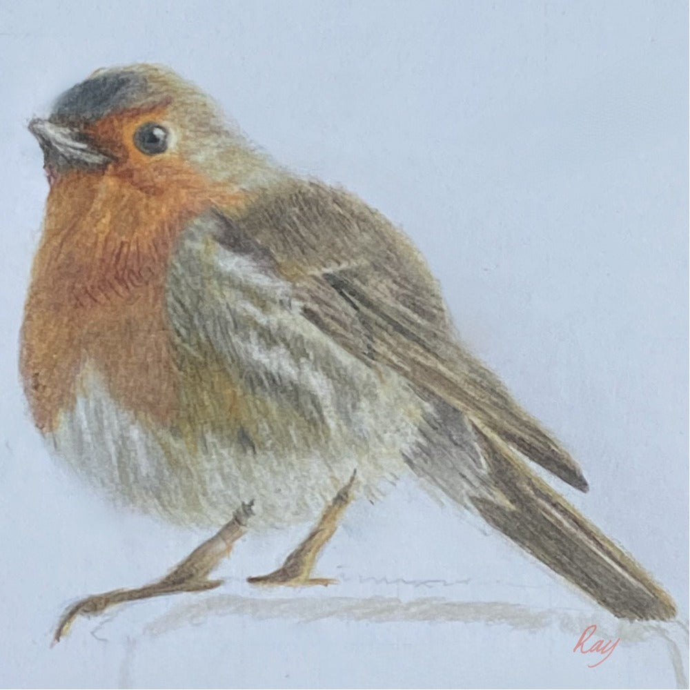 Robin
