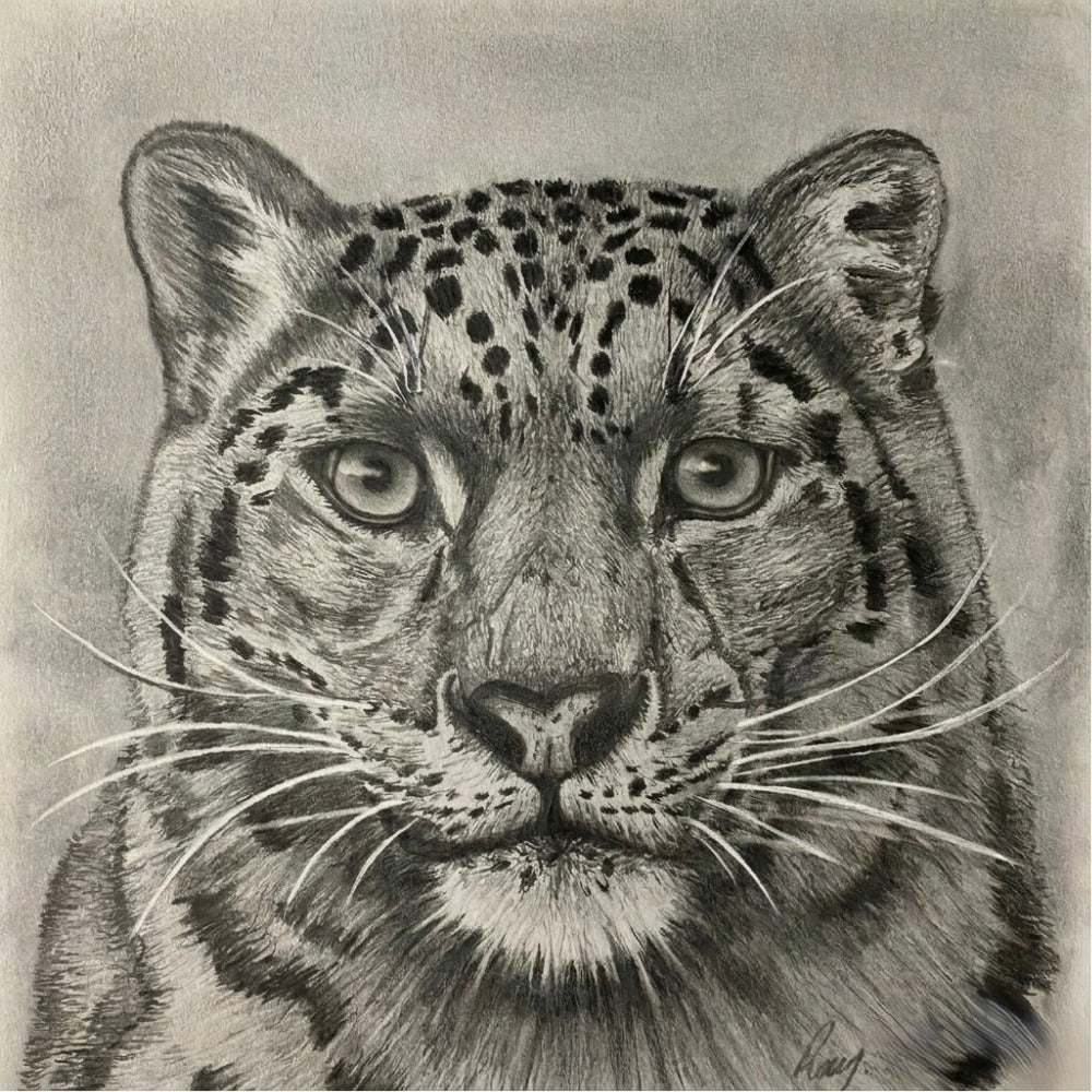 Snow Leopard