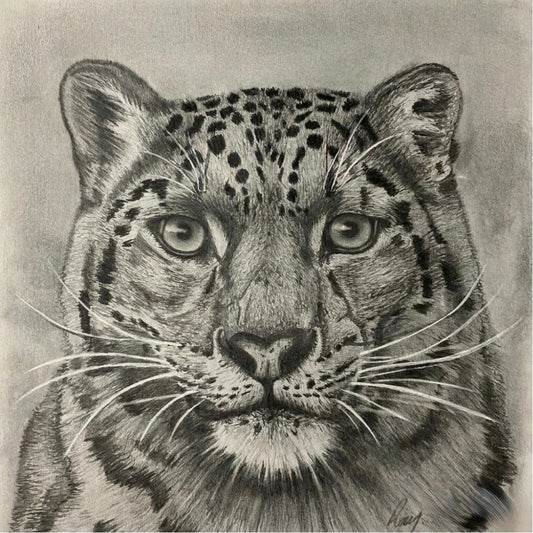 Snow Leopard