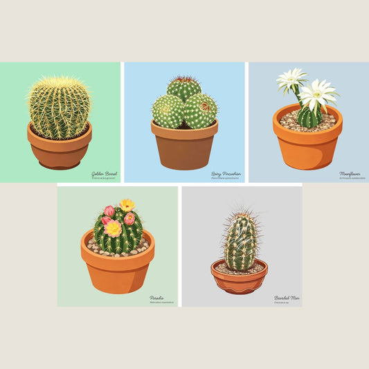 Spiny Friends